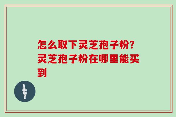 怎么取下灵芝孢子粉？灵芝孢子粉在哪里能买到