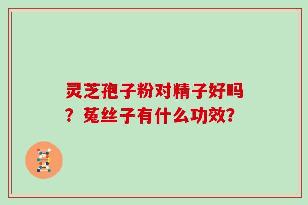 灵芝孢子粉对精子好吗？菟丝子有什么功效？