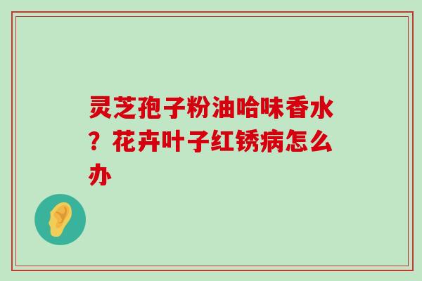 灵芝孢子粉油哈味香水？花卉叶子红锈怎么办