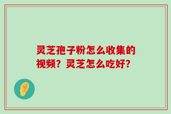 灵芝孢子粉怎么收集的视频？灵芝怎么吃好？