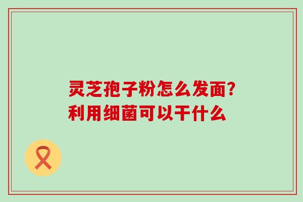 灵芝孢子粉怎么发面？利用可以干什么