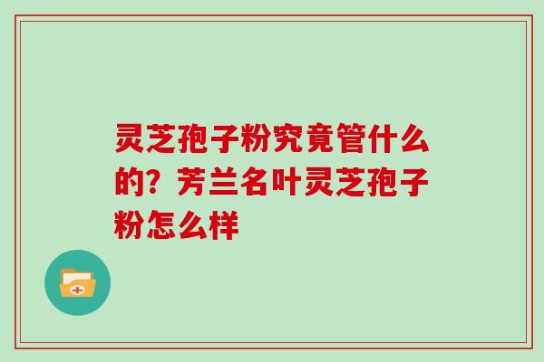 灵芝孢子粉究竟管什么的？芳兰名叶灵芝孢子粉怎么样