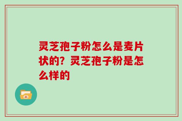 灵芝孢子粉怎么是麦片状的？灵芝孢子粉是怎么样的