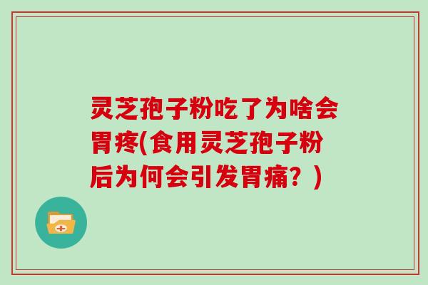 灵芝孢子粉吃了为啥会胃疼(食用灵芝孢子粉后为何会引发胃痛？)