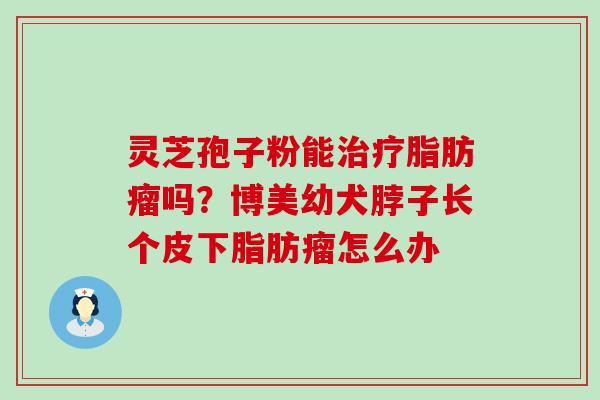 灵芝孢子粉能脂肪瘤吗？博美幼犬脖子长个皮下脂肪瘤怎么办