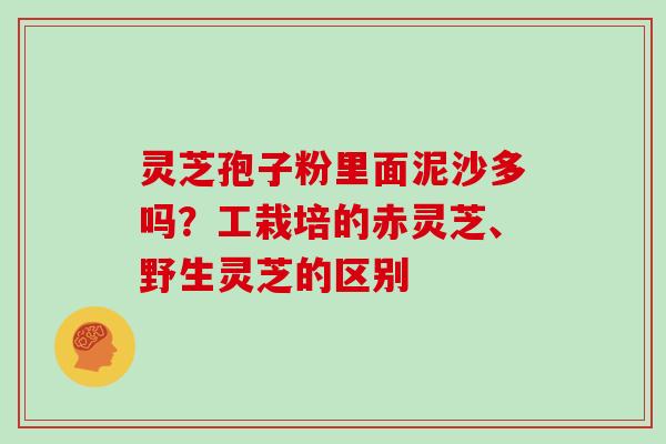 灵芝孢子粉里面泥沙多吗？工栽培的赤灵芝、野生灵芝的区别