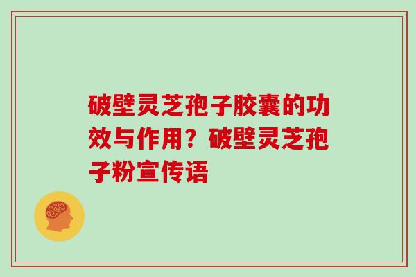 破壁灵芝孢子胶囊的功效与作用？破壁灵芝孢子粉宣传语