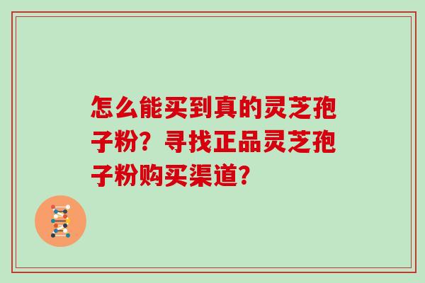 怎么能买到真的灵芝孢子粉？寻找正品灵芝孢子粉购买渠道？