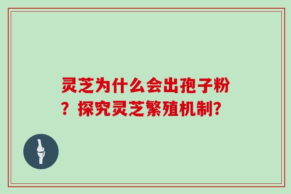 灵芝为什么会出孢子粉？探究灵芝繁殖机制？