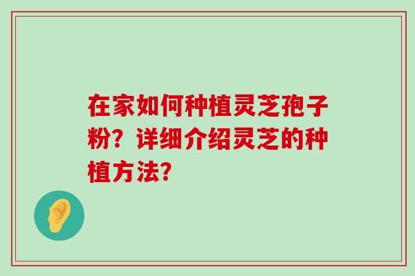 在家如何种植灵芝孢子粉？详细介绍灵芝的种植方法？