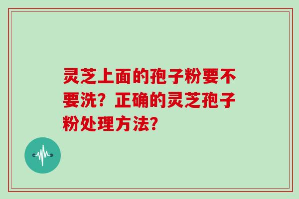 灵芝上面的孢子粉要不要洗？正确的灵芝孢子粉处理方法？