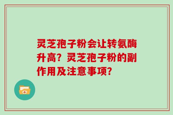 灵芝孢子粉会让转氨酶升高？灵芝孢子粉的副作用及注意事项？