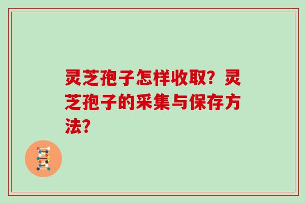 灵芝孢子怎样收取？灵芝孢子的采集与保存方法？