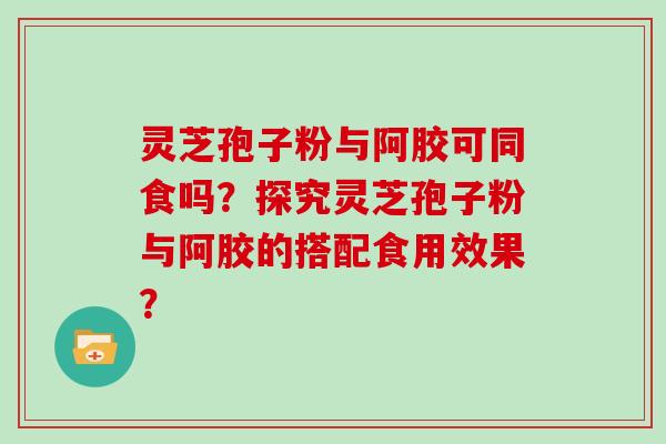 灵芝孢子粉与阿胶可同食吗？探究灵芝孢子粉与阿胶的搭配食用效果？