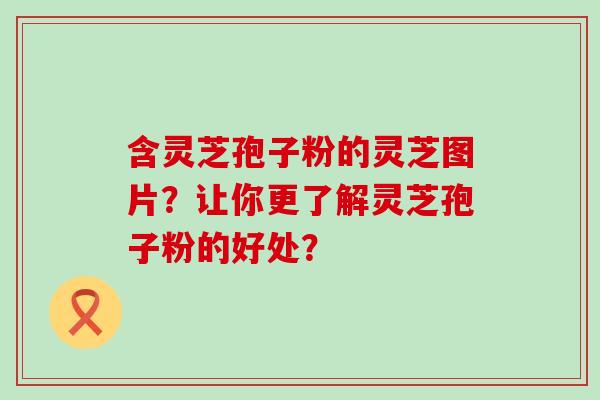 含灵芝孢子粉的灵芝图片？让你更了解灵芝孢子粉的好处？