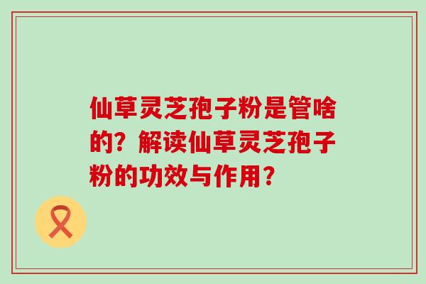 仙草灵芝孢子粉是管啥的？解读仙草灵芝孢子粉的功效与作用？