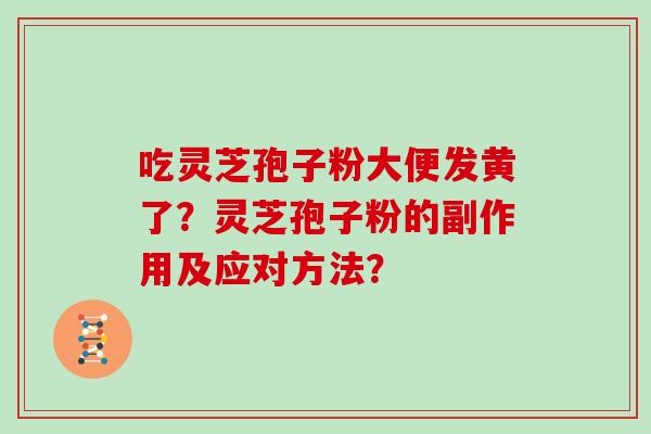 吃灵芝孢子粉大便发黄了？灵芝孢子粉的副作用及应对方法？