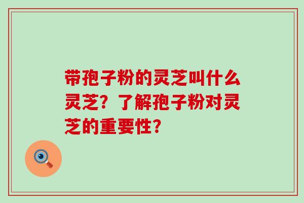 带孢子粉的灵芝叫什么灵芝？了解孢子粉对灵芝的重要性？