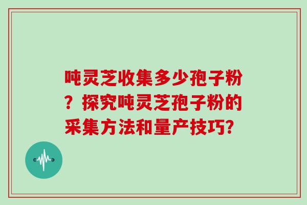 吨灵芝收集多少孢子粉？探究吨灵芝孢子粉的采集方法和量产技巧？