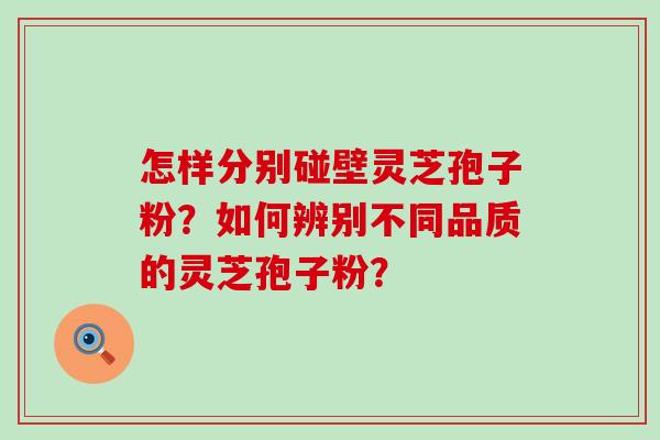 怎样分别碰壁灵芝孢子粉？如何辨别不同品质的灵芝孢子粉？