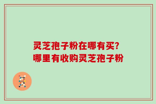 灵芝孢子粉在哪有买？哪里有收购灵芝孢子粉