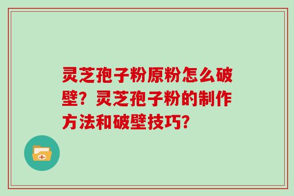 灵芝孢子粉原粉怎么破壁？灵芝孢子粉的制作方法和破壁技巧？