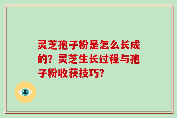 灵芝孢子粉是怎么长成的？灵芝生长过程与孢子粉收获技巧？