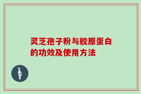 灵芝孢子粉与胶原蛋白的功效及使用方法