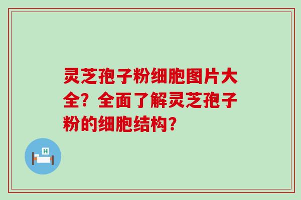 灵芝孢子粉细胞图片大全？全面了解灵芝孢子粉的细胞结构？