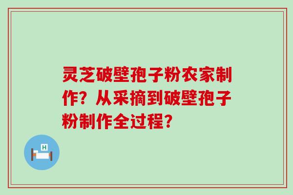 灵芝破壁孢子粉农家制作？从采摘到破壁孢子粉制作全过程？