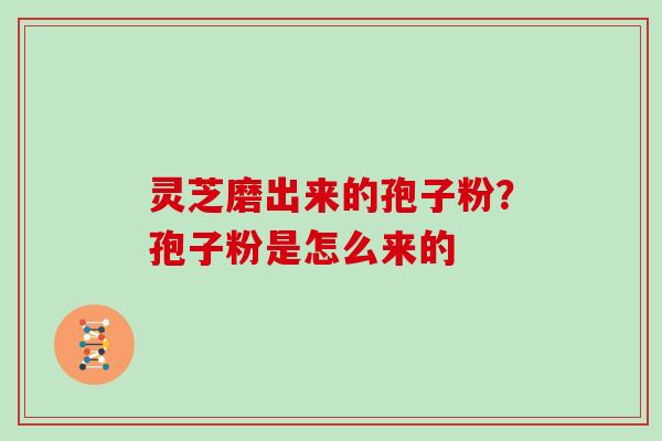 灵芝磨出来的孢子粉？孢子粉是怎么来的