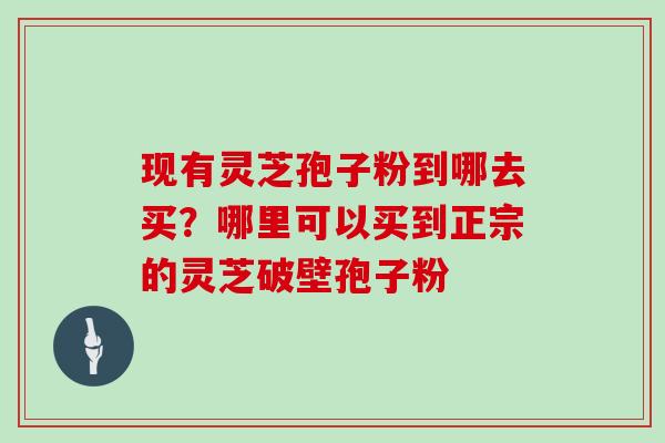 现有灵芝孢子粉到哪去买？哪里可以买到正宗的灵芝破壁孢子粉