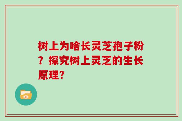 树上为啥长灵芝孢子粉？探究树上灵芝的生长原理？