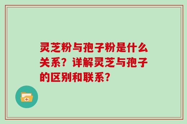 灵芝粉与孢子粉是什么关系？详解灵芝与孢子的区别和联系？