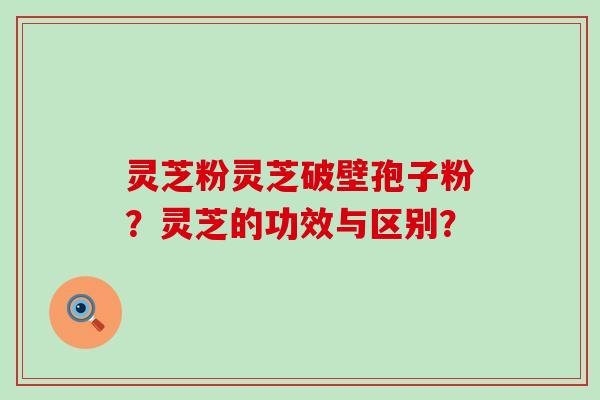 灵芝粉灵芝破壁孢子粉？灵芝的功效与区别？