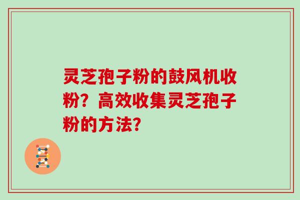 灵芝孢子粉的鼓风机收粉？高效收集灵芝孢子粉的方法？