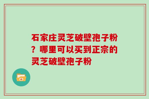 石家庄灵芝破壁孢子粉？哪里可以买到正宗的灵芝破壁孢子粉