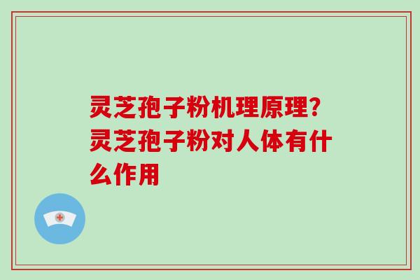 灵芝孢子粉机理原理？灵芝孢子粉对人体有什么作用