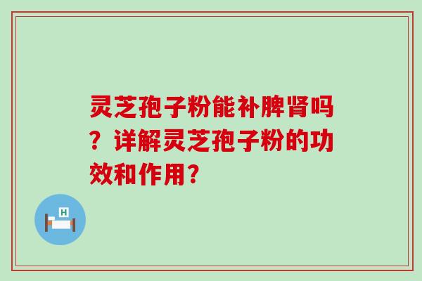 灵芝孢子粉能补脾吗？详解灵芝孢子粉的功效和作用？