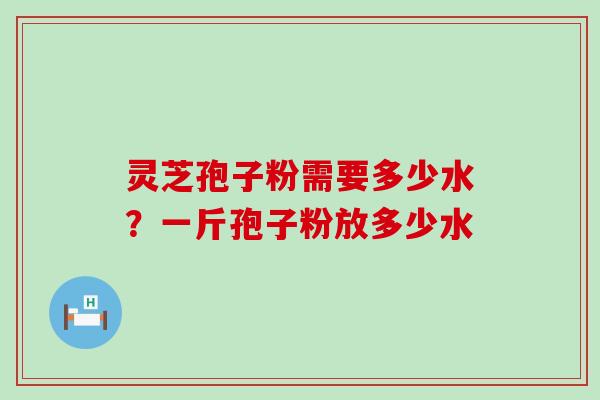 灵芝孢子粉需要多少水？一斤孢子粉放多少水