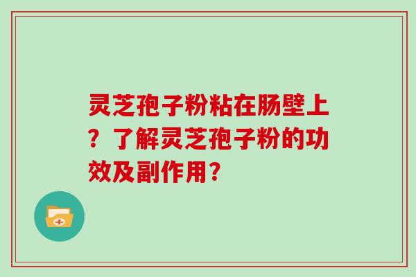 灵芝孢子粉粘在肠壁上？了解灵芝孢子粉的功效及副作用？