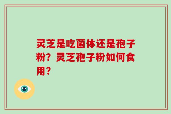 灵芝是吃菌体还是孢子粉？灵芝孢子粉如何食用？