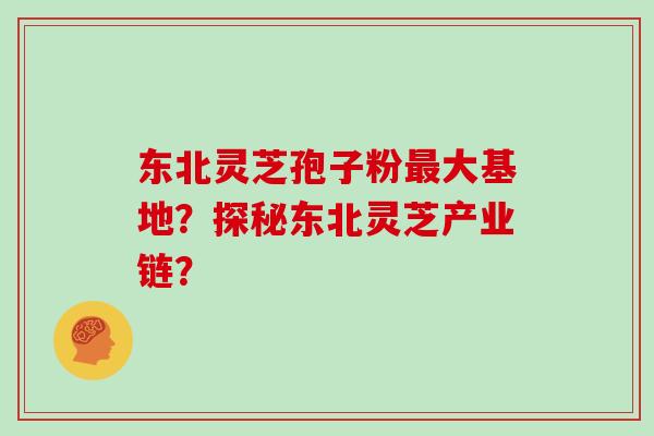 东北灵芝孢子粉大基地？探秘东北灵芝产业链？