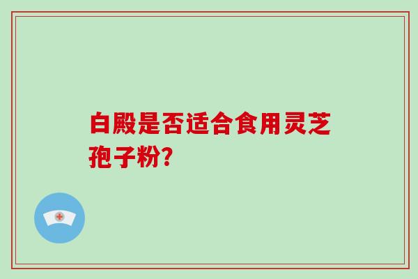 白殿是否适合食用灵芝孢子粉？