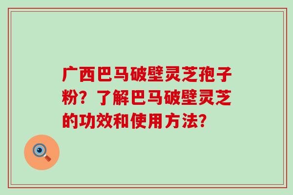 广西巴马破壁灵芝孢子粉？了解巴马破壁灵芝的功效和使用方法？