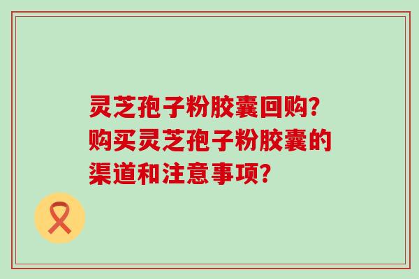 灵芝孢子粉胶囊回购？购买灵芝孢子粉胶囊的渠道和注意事项？