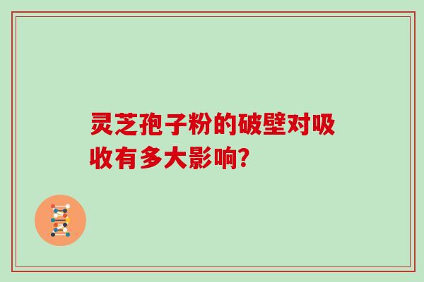 灵芝孢子粉的破壁对吸收有多大影响？