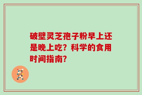 破壁灵芝孢子粉早上还是晚上吃？科学的食用时间指南？