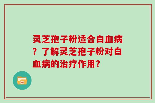 灵芝孢子粉适合白？了解灵芝孢子粉对白的作用？