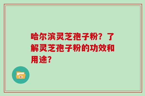 哈尔滨灵芝孢子粉？了解灵芝孢子粉的功效和用途？